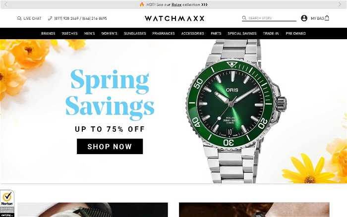 WatchMaxx.com screenshot