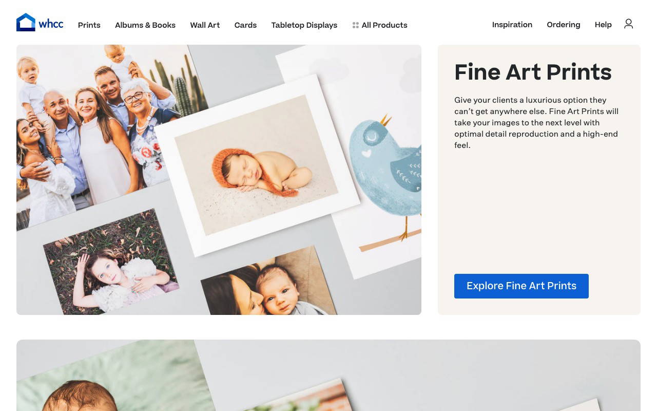 White House Custom Colour screenshot