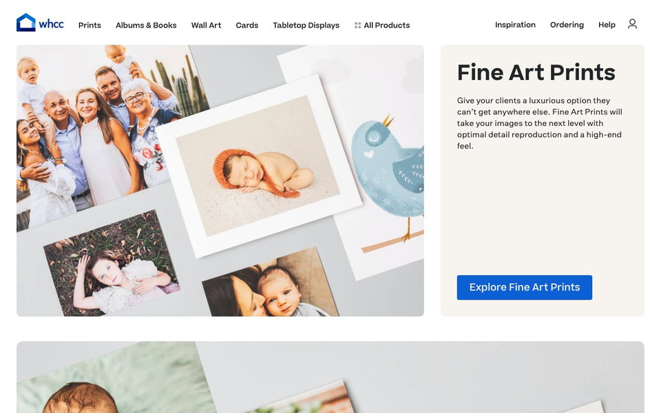 White House Custom Colour website