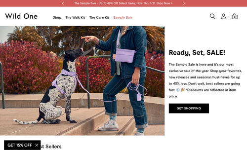 Wild One website screenshot